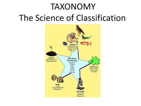 The Science of Classification