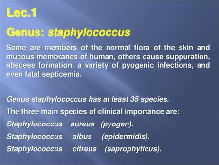 Lec.1 Genus: staphylococcus