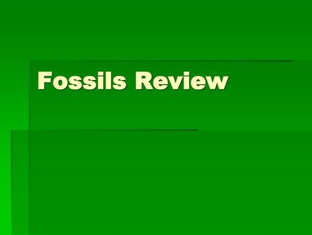Fossils Review.