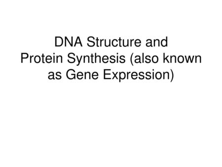 DNA Structure and Protein Synthesis (also known as Gene Expression)