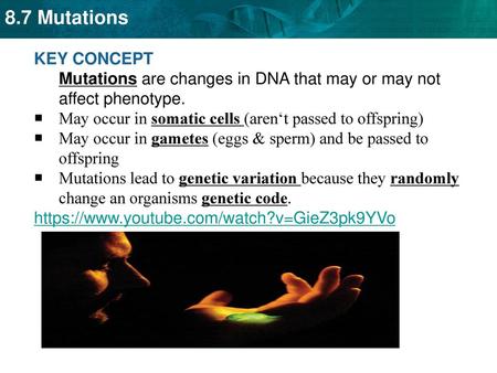 May occur in somatic cells (aren‘t passed to offspring)