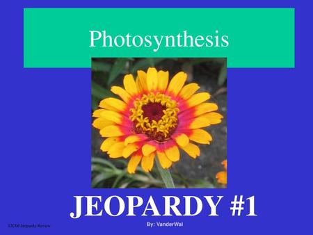 Photosynthesis JEOPARDY #1 By: VanderWal S2C06 Jeopardy Review.