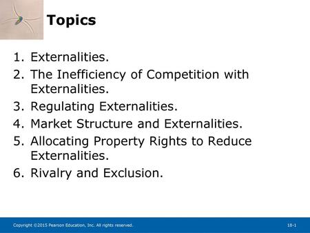 Topics Externalities. The Inefficiency of Competition with Externalities. Regulating Externalities. Market Structure and Externalities. Allocating Property.