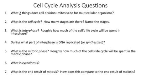 Cell Cycle Analysis Questions