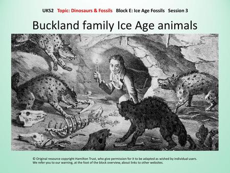 Buckland family Ice Age animals
