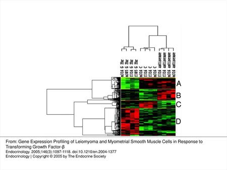 Fig. 6. Hierarchical clustering analysis of gene expression in LSMC and MSMC pretreated with TGF-βRII antisense for 24 h, followed by TGF-β treatment for.
