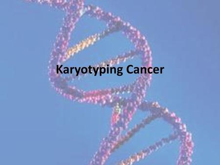 Karyotyping Cancer.