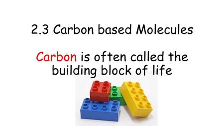 Carbon is the most important atom found in living things.
