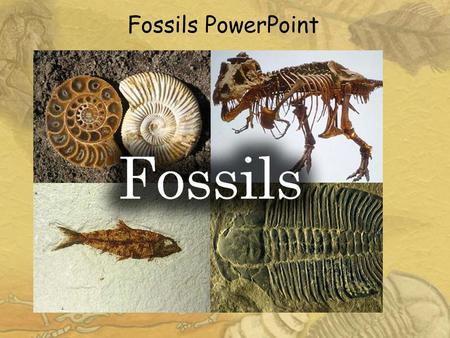 Fossils PowerPoint.