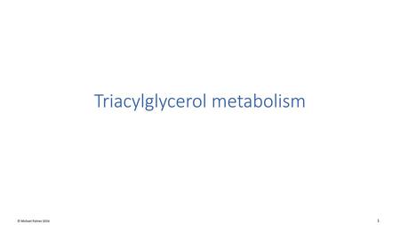Triacylglycerol metabolism