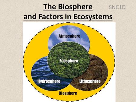 The Biosphere and Factors in Ecosystems