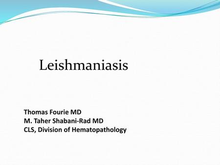 Leishmaniasis Thomas Fourie MD M. Taher Shabani-Rad MD CLS, Division of Hematopathology.