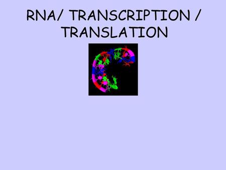 RNA/ TRANSCRIPTION / TRANSLATION