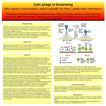 Lytic phage in biosensing Vitaly Vodyanoy1, Iryna Sorokulova1, Rajesh Guntupalli1, Eric Olsen2, Ludmila Globa1, Oleg Pustovyy1 1Department of Anatomy,