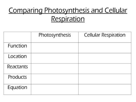 Photosynthesis/Cellular Respiration Foldable