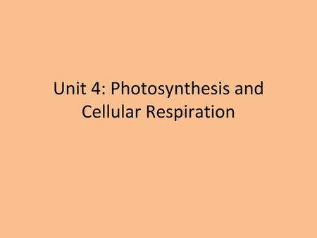 Unit 4: Photosynthesis and Cellular Respiration