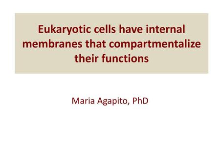 Eukaryotic cells have internal membranes that compartmentalize their functions Maria Agapito, PhD.