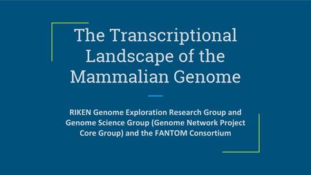 The Transcriptional Landscape of the Mammalian Genome