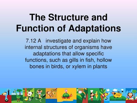 The Structure and Function of Adaptations