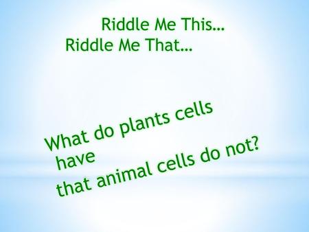 What do plants cells have that animal cells do not?