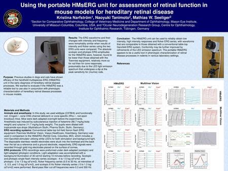 Using the portable HMsERG unit for assessment of retinal function in