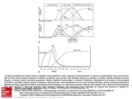 (A) Serum antibody and antigen levels in hepatitis A and hepatitis B
