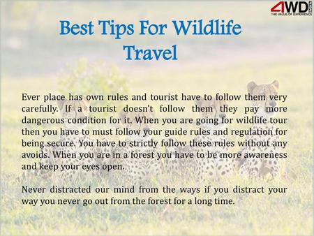 Best Tips For Wildlife Travel