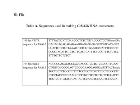 Table A. Sequences used in making CsKASII RNAi constructs