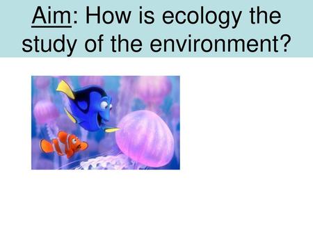 Aim: How is ecology the study of the environment?