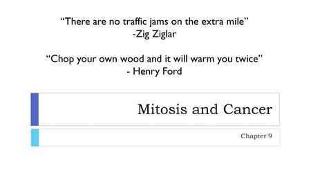 Mitosis and Cancer “There are no traffic jams on the extra mile”