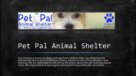 Pet Pal Animal Shelter Our mission is to rescue dogs and cats from shelters that may otherwise be euthanized due to time limitations, illness, injuries.