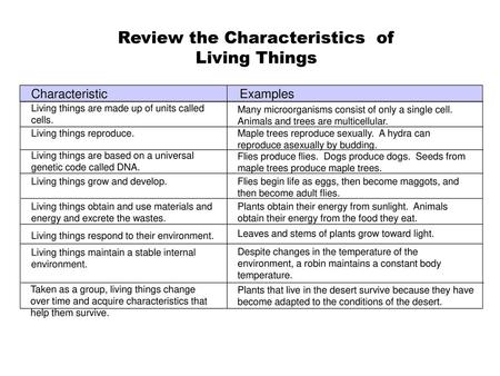 Review the Characteristics of Living Things