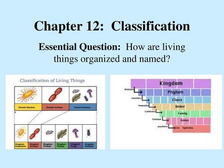 Chapter 12: Classification