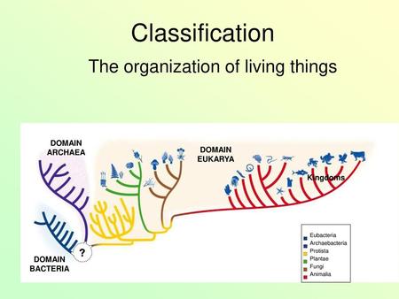 The organization of living things