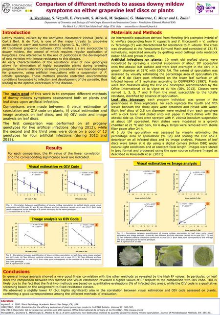 Comparison of different methods to assess downy mildew symptoms on either grapevine leaf discs or plants A. Vecchione, S. Vezzulli, E. Peressotti, S. Micheli,