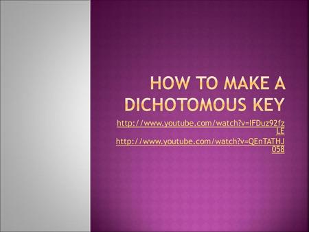 How to Make a Dichotomous Key
