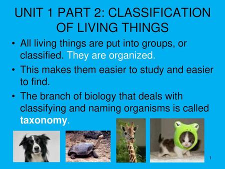 UNIT 1 PART 2: CLASSIFICATION OF LIVING THINGS