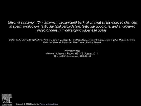Effect of cinnamon (Cinnamomum zeylanicum) bark oil on heat stress-induced changes in sperm production, testicular lipid peroxidation, testicular apoptosis,