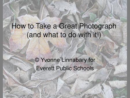 How to Take a Great Photograph (and what to do with it!)
