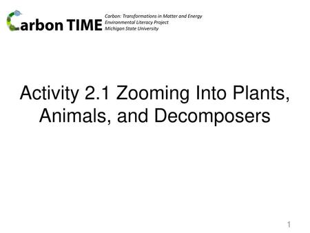 Activity 2.1 Zooming Into Plants, Animals, and Decomposers