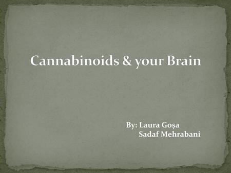 Cannabinoids & your Brain