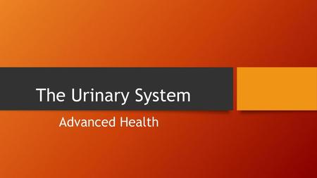 The Urinary System Advanced Health.