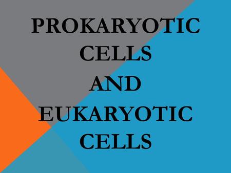 PROKARYOTIC CELLS AND EUKARYOTIC CELLS
