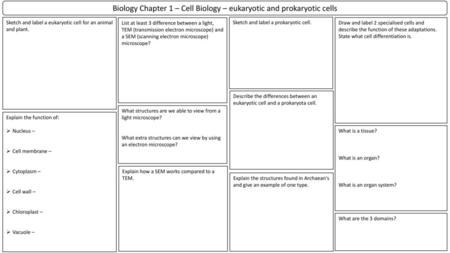 Biology Chapter 1 – Cell Biology – eukaryotic and prokaryotic cells