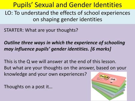Pupils’ Sexual and Gender Identities