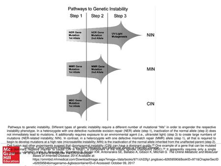 Pathways to genetic instability