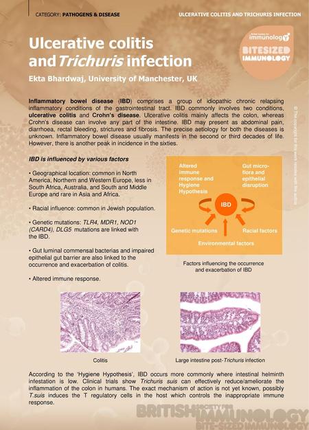 Ulcerative colitis andTrichuris infection