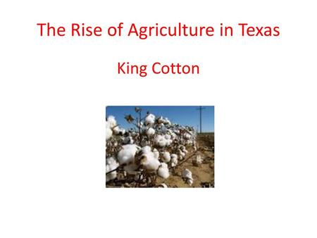The Rise of Agriculture in Texas