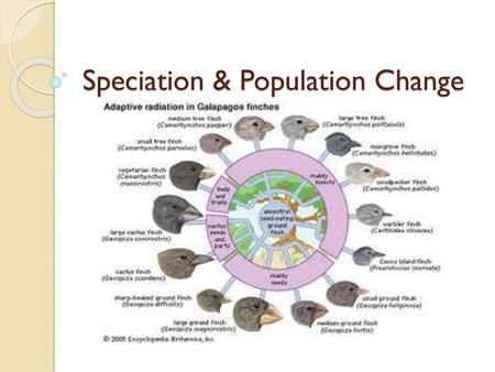 Speciation & Population Change