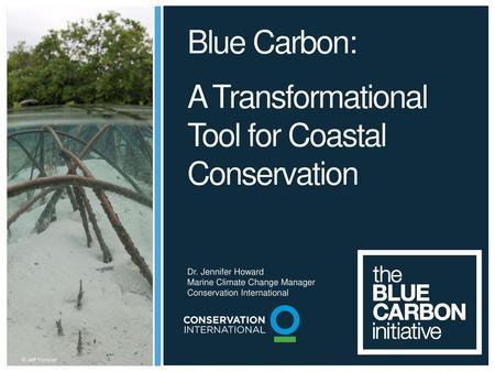 A Transformational Tool for Coastal Conservation